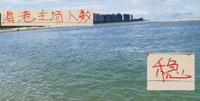 开云体育平台入口-本轮周末海港主场刚2万多人 在申花带动下青岛主场都比他们多1万